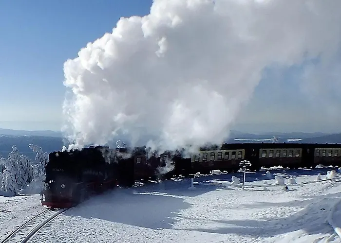 Bungalow-„am-eichholz“-in-ilsenburg-hundefreundlich-naturnah Prázdninový dům *