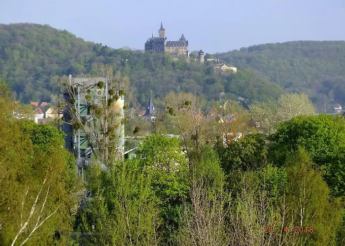 Bungalow-„am-eichholz“-in-ilsenburg-hundefreundlich-naturnah Prázdninový dům