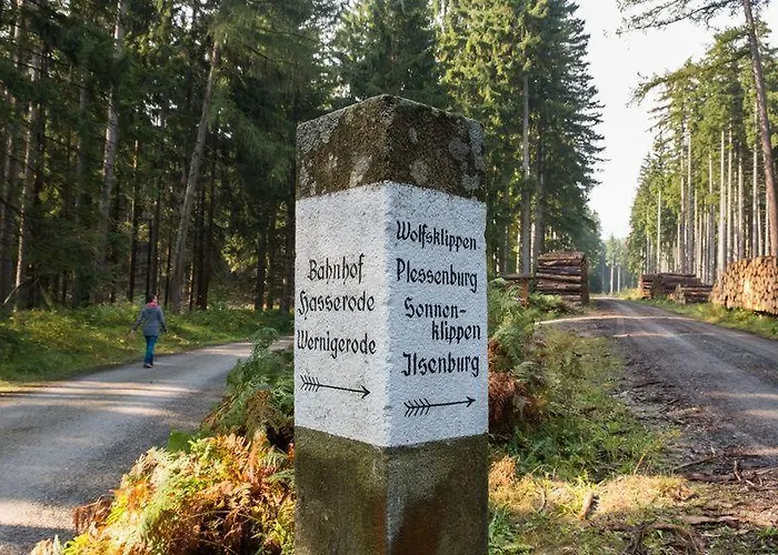 Bungalow-„am-eichholz“-in-ilsenburg-hundefreundlich-naturnah